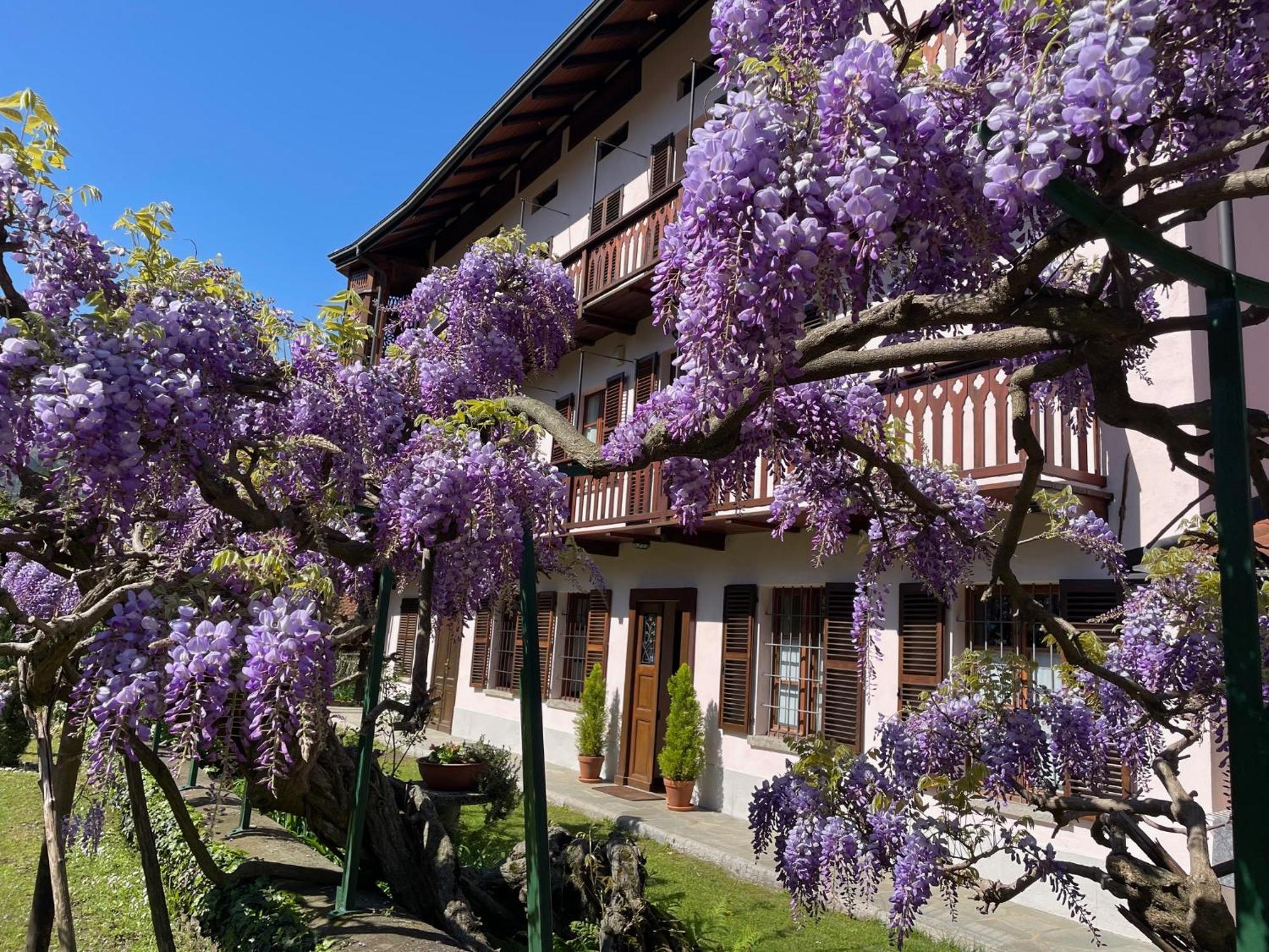 Dimora Fiorita Junior My Holiday Home Varallo Zewnętrze zdjęcie